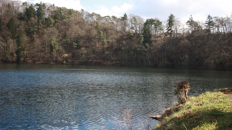 Ein ruhiger See umgeben von Bäumen und sanften Hügeln. Der Himmel ist teilweise bewölkt und spiegelt sich im Wasser.