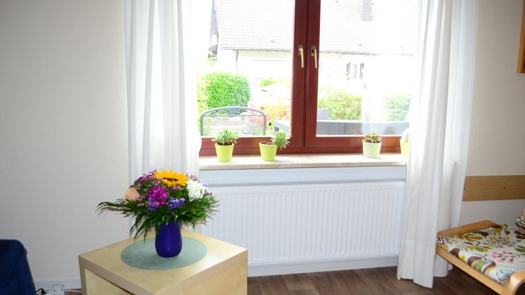 A bright room with a window that lets in a lot of light. On the table stands a colorful flower vase and fresh plants on the windowsill.