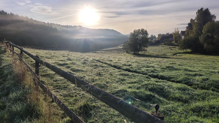 Eine weite Wiese mit Tau und sanften Hügeln im Hintergrund. Die Sonne geht über der Landschaft auf und taucht alles in goldenes Licht.
