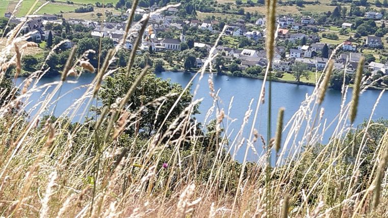 Een landschap met hoog gras op de voorgrond en een rustige meer op de achtergrond. Het kleine stadje met huizen is aan de oever zichtbaar.