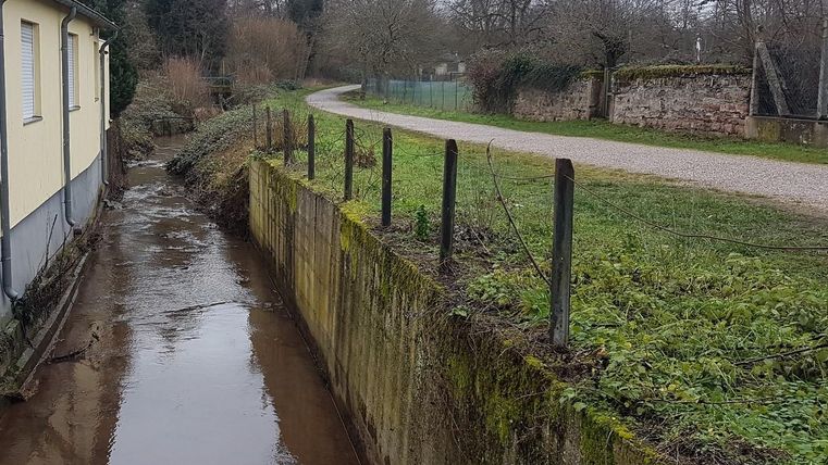 Ein schmaler Wasserlauf neben einem Gartenweg. Im Hintergrund sind Bäume und ein ruhiges, ländliches Umfeld sichtbar.