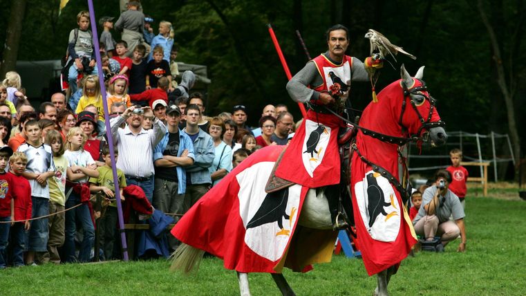 Ein Ritter auf einem roten Pferd präsentiert einen Falken. Im Hintergrund schaut eine begeisterte Menge zu.