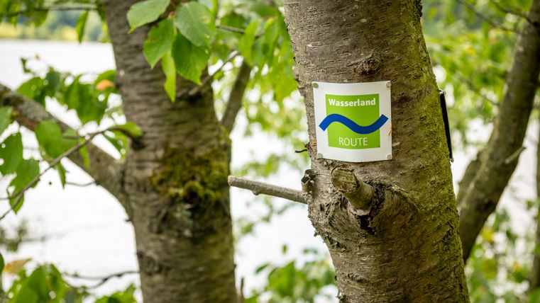 Een boom met een bord van de Waterlandroute aan de stam.