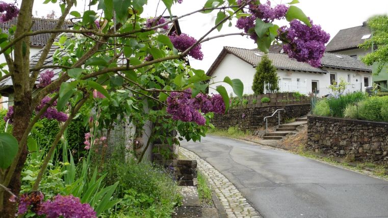 Ein ruhiger Weg mit einem blühenden Fliederbaum und grünen Pflanzen. Im Hintergrund sind einige traditionelle Häuser zu sehen.