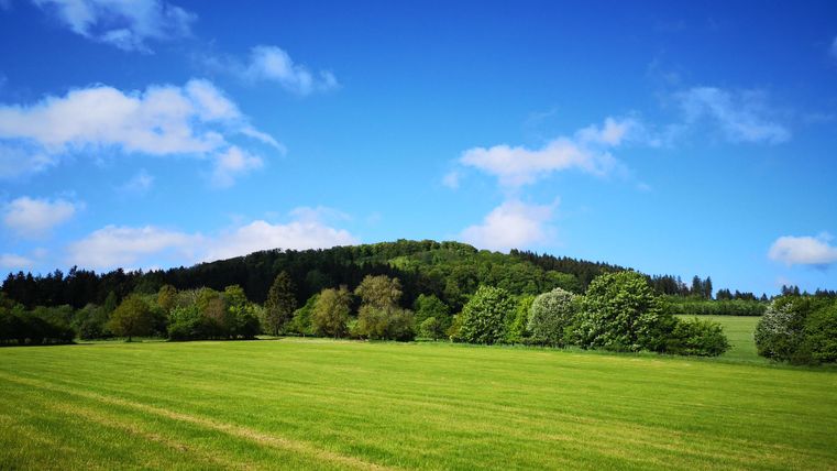 Een groene wei onder een heldere blauwe lucht. Zachte heuvels en bomen omringen het landschap.