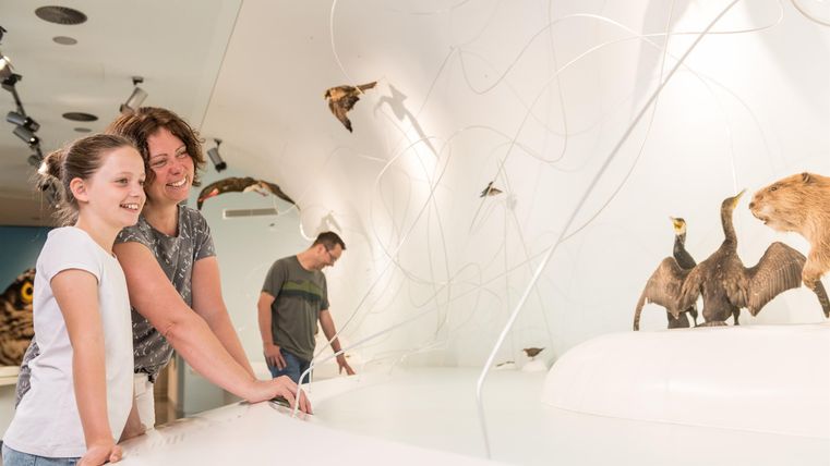 Eine Familie besucht ein Museum und schaut sich ausgestopfte Tiere an. Die Wände sind hell und modern gestaltet.