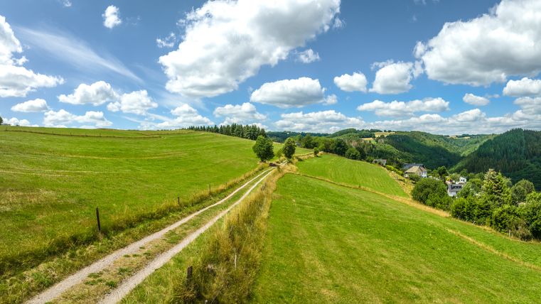 Landschaft in der Eifel mit grünen Wiesen, einem Feldweg und bewaldeten Hügeln unter blauem Himmel mit weißen Wolken.