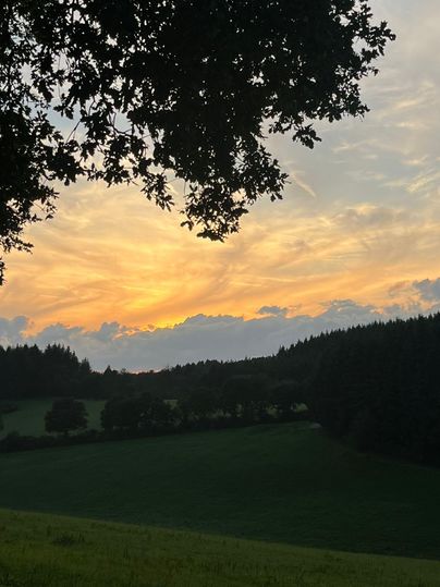 A beautiful sunset over green fields and trees. The sky is colored with warm tones.