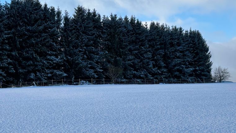 Winter in the Eifel