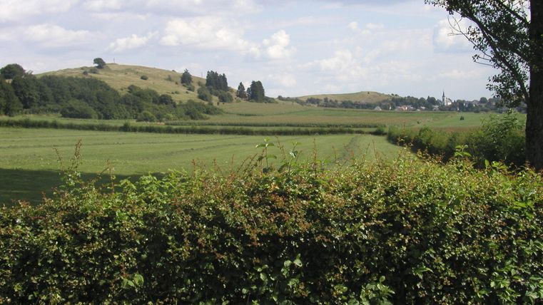 A green landscape with gentle hills and a blue sky. In the foreground, there is a hedge that frames the view of the field and the hills behind it.