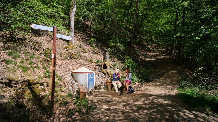 Een mooi bospad met veel groen loof. Twee personen zitten op een bank en genieten van de rust van de natuur.