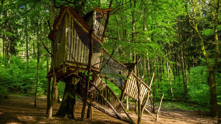 Ein Baumhaus im Wald, umgeben von grünen Bäumen. Die Struktur hat verschiedene Ebenen und eine Rutsche.