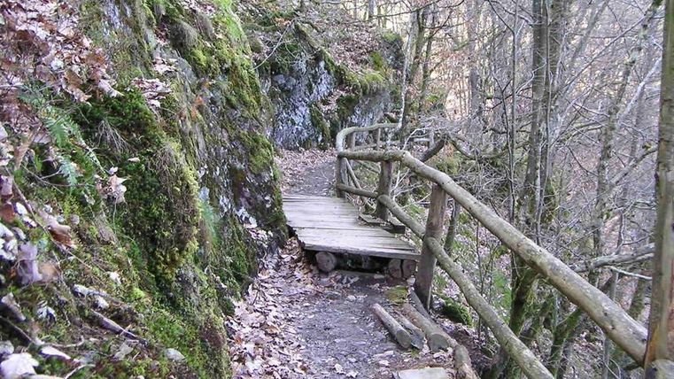 Ein schmaler Wanderweg durch einen Wald mit moosbedeckten Felsen. Ein Holzgeländer sichert den Pfad entlang der Klippen.