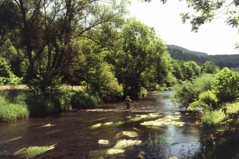 <p>Een rivier omringd door bomen en weilanden.</p>