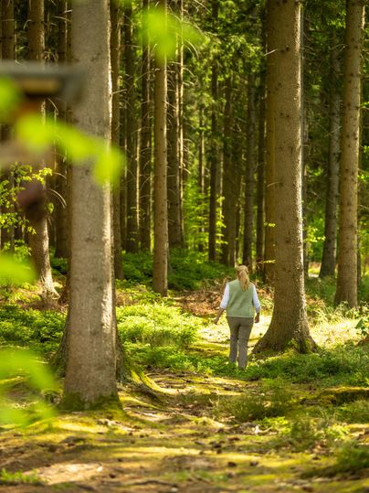 Eine Frau geht auf einem Waldweg zwischen hohen Bäumen. Die Sonne scheint durch das Blätterdach und schafft eine ruhige, grüne Atmosphäre.
