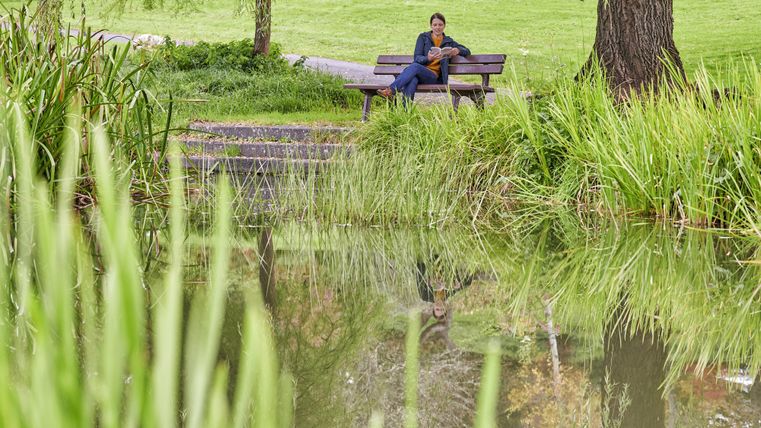 Eine ruhige Parklandschaft mit einem Teich und üppiger Vegetation. Eine Person sitzt entspannt auf einer Bank und genießt die Natur.