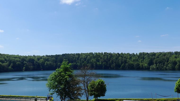 A calm lake surrounded by lush greenery. The sky is clear and blue, perfect for a relaxing day in nature.