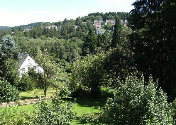 Een groene landschap met bomen en struiken. Op de achtergrond zijn huizen op een heuvel te zien.