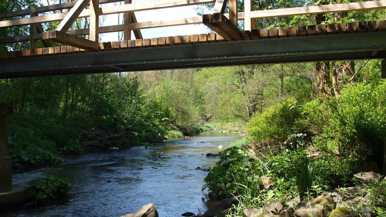 A wooden bridge spans a tranquil river, surrounded by green trees. The landscape is bright and inviting.