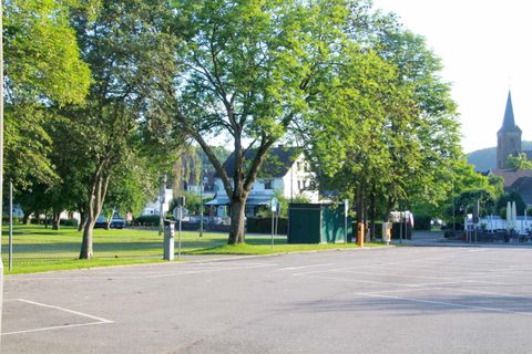A quiet park with large trees and a clear sky. In the background, some buildings and a church tower can be seen.
