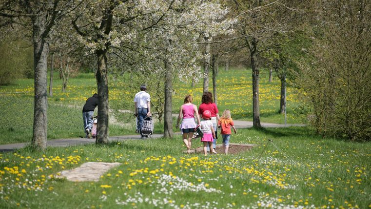 Two adults and two children on the mulch section of the barefoot path, meadow with blooming flowers.