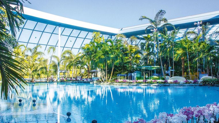 Een tropisch zwembad omringd door palmbomen en kleurrijke bloemen. Het glazen dak laat veel zonlicht binnen.