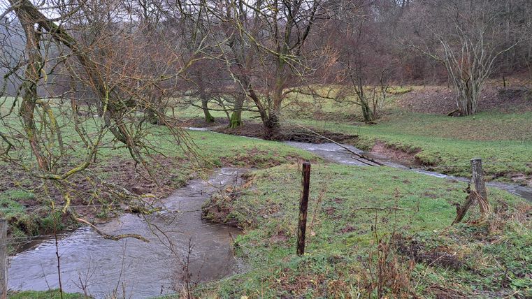 A quiet brook flows through a green meadow with scattered trees. The landscape appears peaceful and naturally untouched.