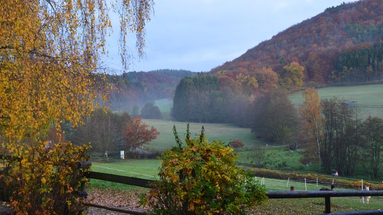 Eine malerische Herbstlandschaft mit bunten Bäumen und sanften Hügeln. Im Vordergrund stehen Pflanzen und ein Holzgeländer.