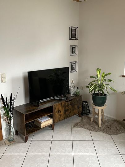 Een gezellige woonkamer met een tv op een houten meubel en een grote kamerplant. De muren zijn licht en er zijn enkele decoratieve elementen.