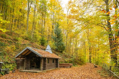 Eine gemütliche Hütte im Wald umgeben von herbstlich gefärbten Bäumen. Der Weg ist mit bunten Laub bedeckt und lädt zu einem Spaziergang ein.