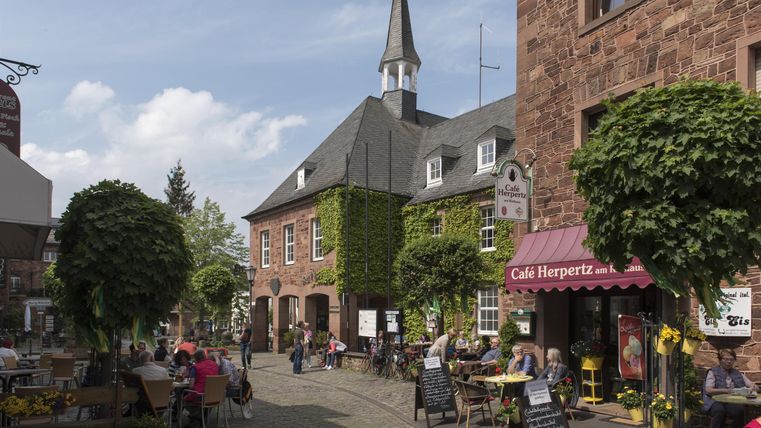 Een schilderachtig plein met verschillende bomen en gezellige cafés. Mensen zitten buiten en genieten van de sfeer.
