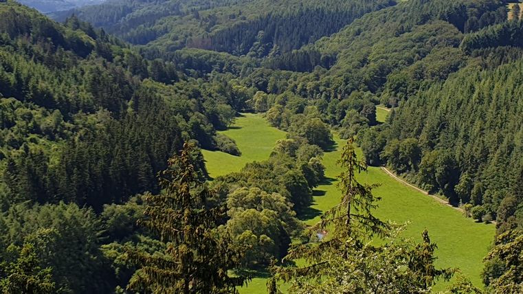 Ein weites Tal mit grünen Wiesen und dichten Wäldern. Die sanften Hügel erstrecken sich bis zum Horizont.