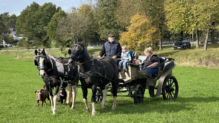 Zwei Pferde ziehen eine Kutsche mit mehreren Personen über eine grüne Wiese. Ein Hund läuft daneben. Im Hintergrund sind Bäume und ein Auto zu sehen.