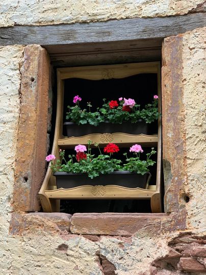 Ein Fenster mit dekorativen Blumenkästen in verschiedenen Farben. Die Pflanzen verleihen dem alten Mauerwerk einen schönen, lebendigen Akzent.