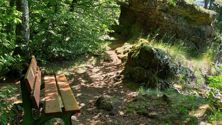 Eine ruhige Bank steht auf einem schmalen Pfad im Wald. Umgeben von grünen Bäumen und Felsen bietet der Ort einen friedlichen Rückzugsort.