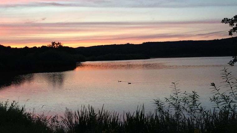 A tranquil lake at sunset, surrounded by trees and plants. The sky displays soft colors in red and blue.