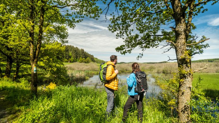 Two hikers with rucksacks stand in a green nature reserve and look out over a pond. Trees and blue sky in the background.