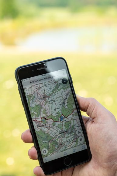  Eine Person hält ein Handy in der Hand, auf welchem der Tourenplaner Rheinland-Pfalz geöffnet ist.