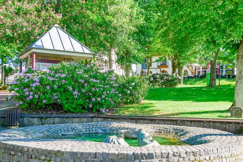 Een mooie park met veel groen gras en bomen. Op de voorgrond is een ronde fontein te zien, omringd door bloeiende planten.