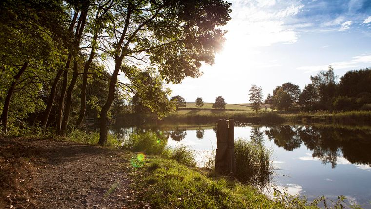 Eine malerische Landschaft mit einem ruhigen See und Bäumen am Ufer. Die Sonne strahlt am Horizont und spiegelt sich im Wasser.