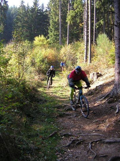 Drei Mountainbiker fahren auf einem schmalen Waldweg. Die Umgebung ist üppig grünes Gebüsch und hohe Bäume.