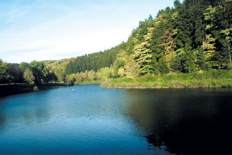 Ein ruhiger Fluss umgeben von grünen Bäumen und sanften Hügeln. Der Himmel ist klar und das Wasser spiegelt die Landschaft wider.