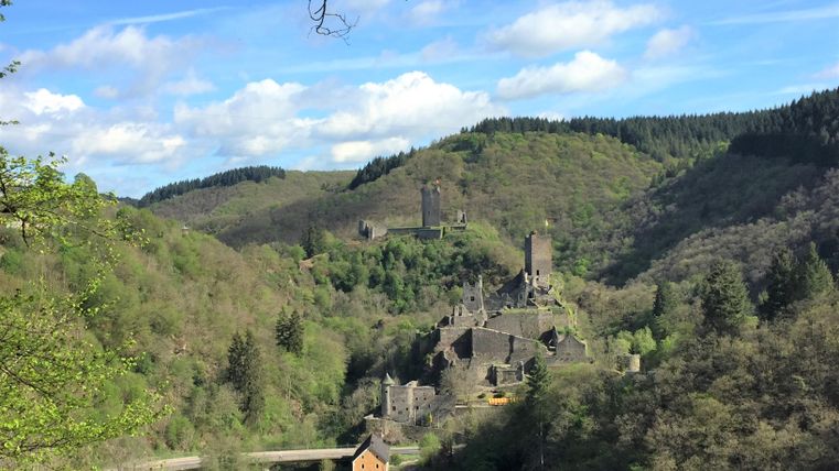Eine malerische Aussicht auf eine Burg in einer grünen, bewaldeten Landschaft. Der Himmel ist klar mit einigen Wolken.
