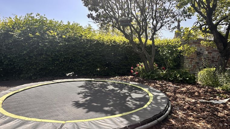 Ein Trampolin im Garten, umgeben von Bäumen und Sträuchern. Der Boden ist mit herabgefallenen Blättern bedeckt.