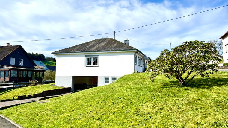 A modern house on a green meadow with a small tree. The sky is blue and it is sunny.