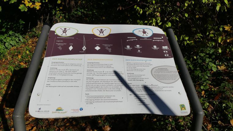 An information sign stands outdoors, surrounded by trees and plants. It contains various symbols and text that provide information about the location.