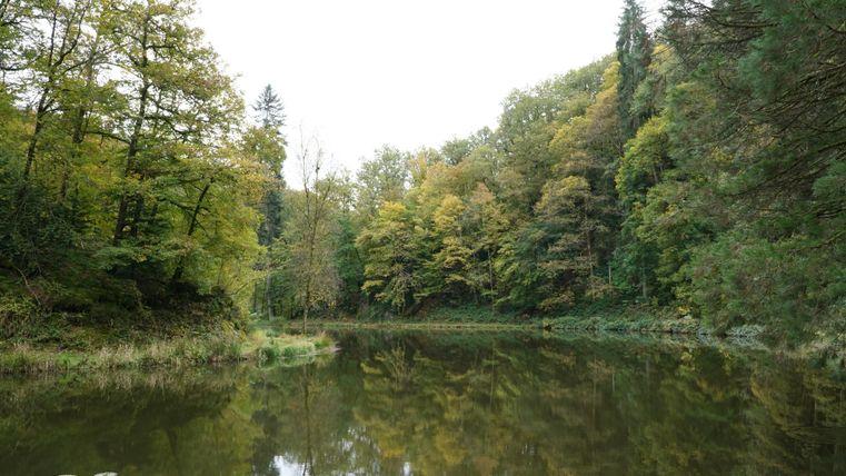 Ein ruhiger Teich umgeben von bunten Bäumen im Herbst. Die Spiegelung des Himmels und der Bäume im Wasser ist gut zu sehen.