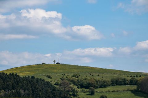 Ein sanfter Hügel mit grünen Wiesen und einigen Bäumen. Im Hintergrund sind blaue Himmel und weiße Wolken sichtbar.