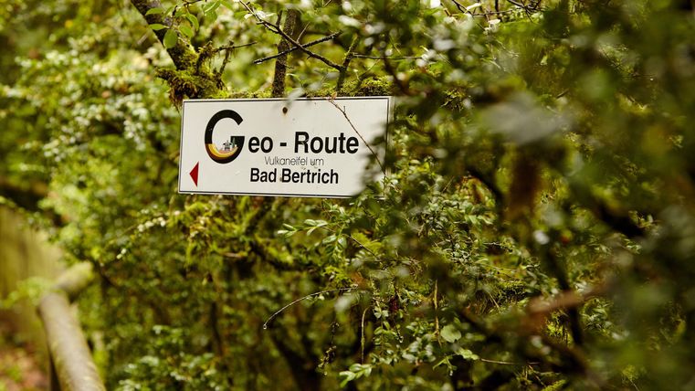 Ein Wegweiser zur Geo-Route in Bad Bertrich ist von Bäumen umgeben. Der Schriftzug ist gut sichtbar auf einem grünen Hintergrund.