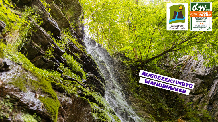 Een mooie waterval, omringd door groene bladeren en met mos bedekte rotsen. De scène straalt een rustige en natuurlijke sfeer uit.